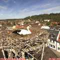 11_55-nest.jpg