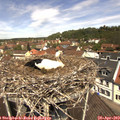 12_05-nest.jpg