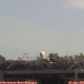 12_10-mast.jpg