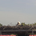 12_15-mast.jpg