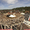 12_15-nest.jpg