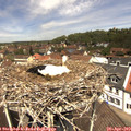 12_20-nest.jpg