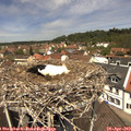12_25-nest.jpg