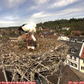 12_30-nest.jpg