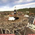 12_35-nest.jpg