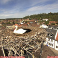 12_45-nest.jpg