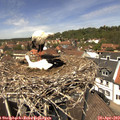 13_05-nest.jpg
