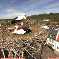 13_10-nest.jpg