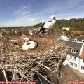 13_25-nest.jpg