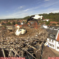 13_35-nest.jpg