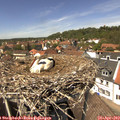 13_40-nest.jpg