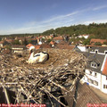13_50-nest.jpg
