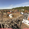 14_10-nest.jpg