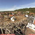 14_15-nest.jpg