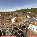 14_20-nest.jpg