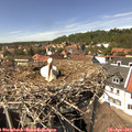 14_30-nest.jpg