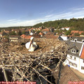 14_35-nest.jpg