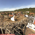 14_40-nest.jpg