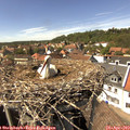 14_55-nest.jpg