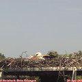 15_05-mast.jpg