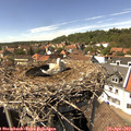 15_05-nest.jpg