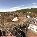 15_15-nest.jpg