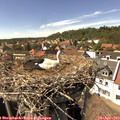 15_25-nest.jpg