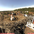 16_10-nest.jpg