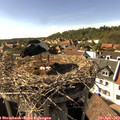 16_35-nest.jpg