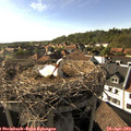 17_35-nest.jpg