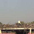 18_05-mast.jpg