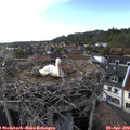 18_35-nest.jpg