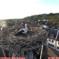 19_30-nest.jpg