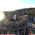 19_40-nest.jpg