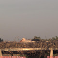 20_00-mast.jpg