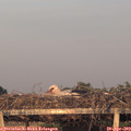 20_05-mast.jpg