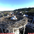 07_05-nest.jpg