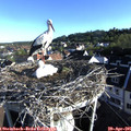 07_30-nest.jpg