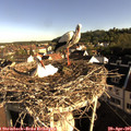 08_00-nest.jpg