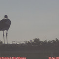 08_05-mast.jpg