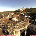 08_05-nest.jpg