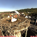 08_40-nest.jpg