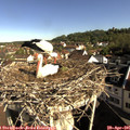 08_55-nest.jpg
