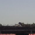 09_30-mast.jpg
