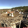 09_30-nest.jpg