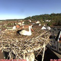09_35-nest.jpg