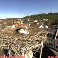 09_40-nest.jpg