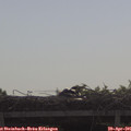 09_45-mast.jpg