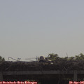 09_55-mast.jpg