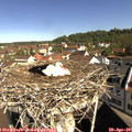 09_55-nest.jpg